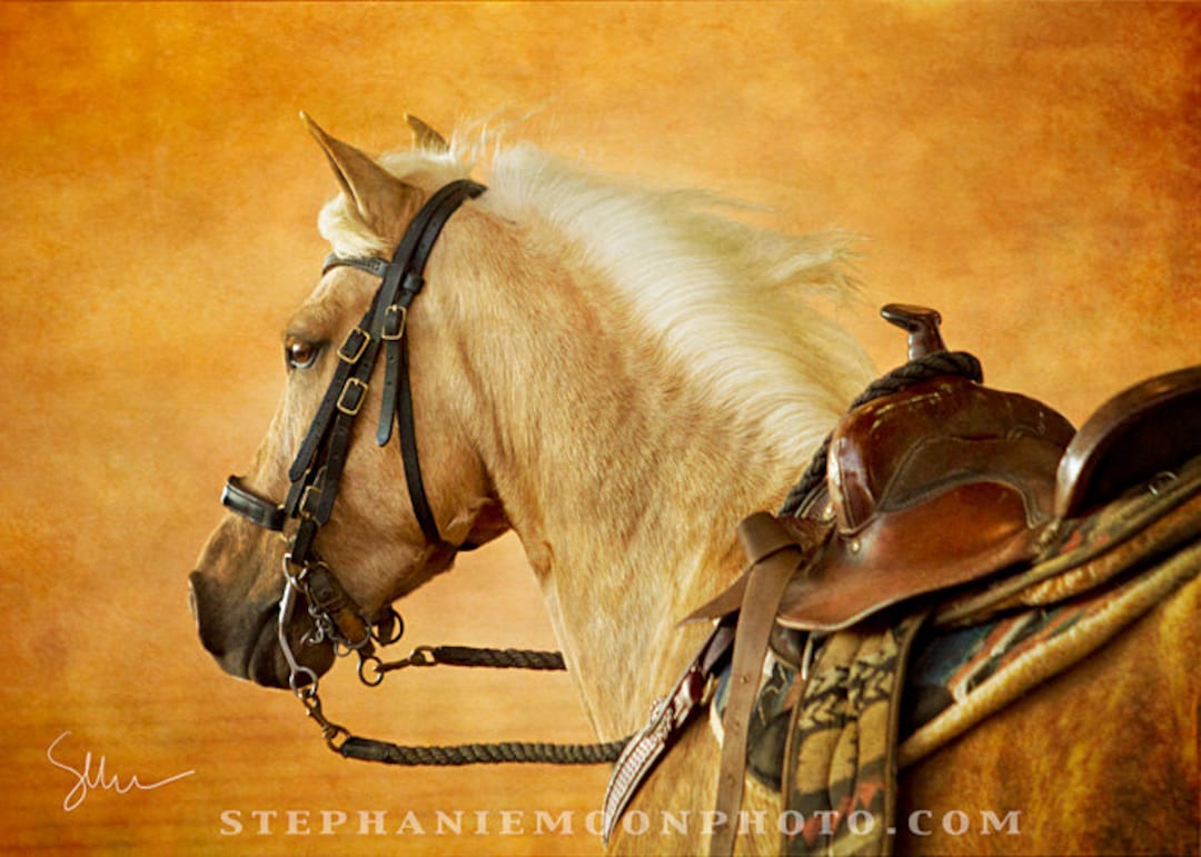 Horse Photography, Horse Print, Horse Art, Palomino Paso Fino