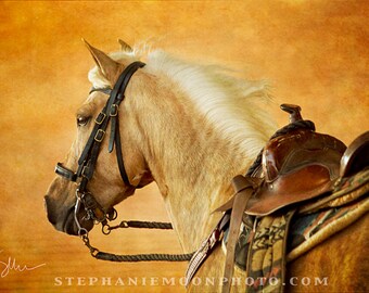 May include: A palomino horse with a white mane and tail is wearing a brown leather bridle and a brown leather saddle. The horse is standing in a golden brown studio setting.