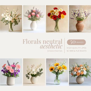 Neutral Aesthetic Floral Stock Photos Flower Arrangements Digital Marketing Instagram Reels Pink Floral Stock Photos Lifestyle PLR MRR Image