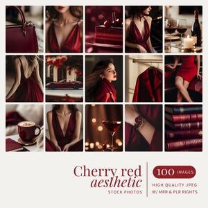 Aesthetic Dark Cherry Red Faceless Stock Photos Digital Marketing Red Girl Boss Instagram Reels Dark Stock Images MRR PLR Business Branding