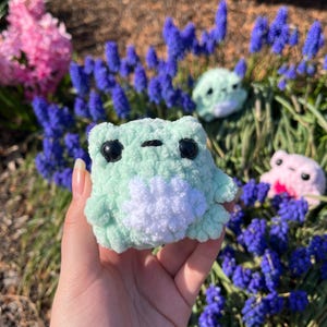 May include: A small, green crocheted frog plush toy with white accents. The frog is sitting in a hand, with a background of purple flowers.