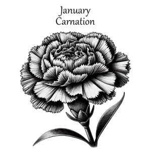 January Birth Flower SVG. Carnation Flower SVG Cut File | Floral Digital Download. Detailed illustration