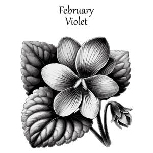 February Birth Flower SVG. Violet Flower SVG Cut File and PNG | Floral Digital Download. Detailed illustration