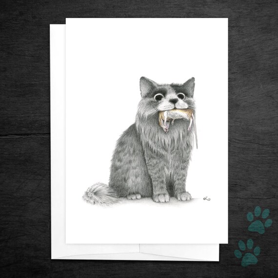 Joyeux Anniversaire Dun Chat Chat Danniversaire Joyeux Etsy