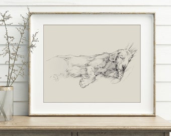 Golden Retriever Drawing Fine Art Print by Artist, Ethan Harper. Artwork for Dog Lovers.