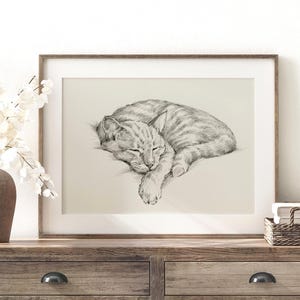 Cat Portrait Wall Art Print - Cat Drawing Poster for Pet Memorial Gift - Cat Artwork Illustration by Ethan Harper image 1