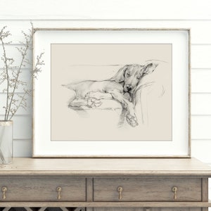 Weimaraner Art Print. Ethan Harper. Weimaraner Drawing. Gifts for Dog Lovers. Sleeping Dog. Dog Wall Decor. Dog Drawing