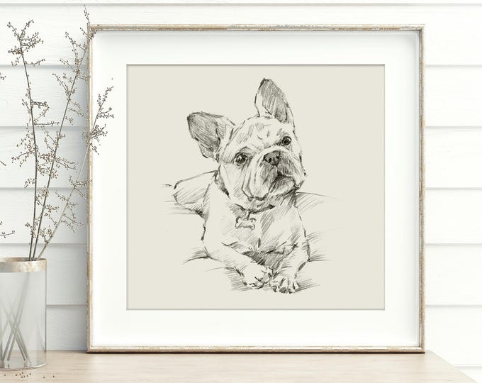 French Bulldog Art Print. Contour Drawing. Artist Ethan Harper. Cute Gifts for Dog Lovers. Dog Wall Decor.