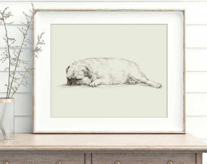 Pug Drawing Art Print by Ethan Harper - Cute Antique Style Dog Sketch Wall Decor, Perfect for Nurseries or a Gift for Dog Lovers