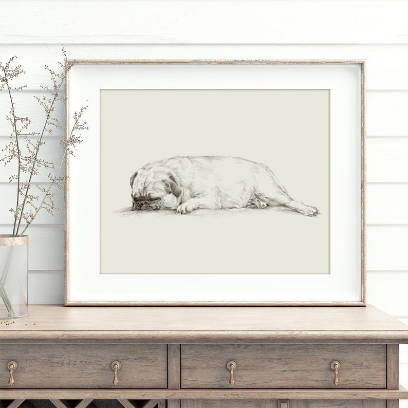 Pug Drawing Art Print: Antique Style Dog Sketch by Ethan Harper image 1