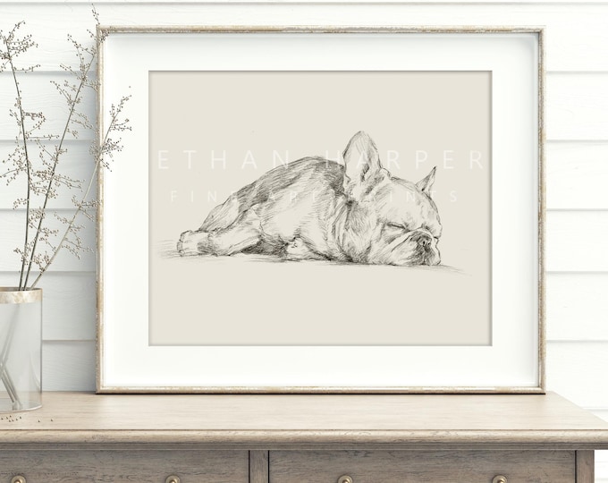 French Bulldog Art Print. Contour Drawing. Artist Ethan Harper. Cute Gifts for Dog Lovers. Dog Wall Decor.