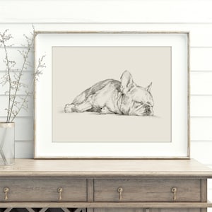 French Bulldog Wall Art