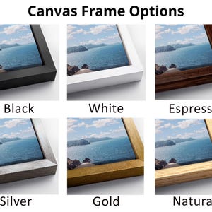 various canvas frame options, each with a different color and style, showcasing the different options available for framing a photograph.