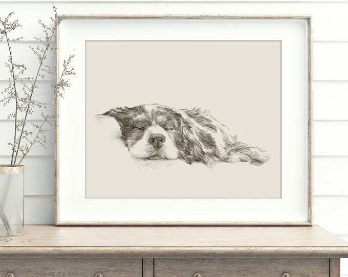 Cavalier King Charles Spaniel Art Print by Artist, Ethan Harper. Dog Drawing Wall Decor.