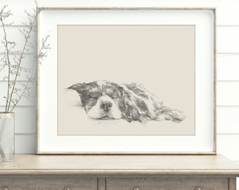 Cavalier King Charles Spaniel Art Print by Artist, Ethan Harper. Dog Drawing Wall Decor.