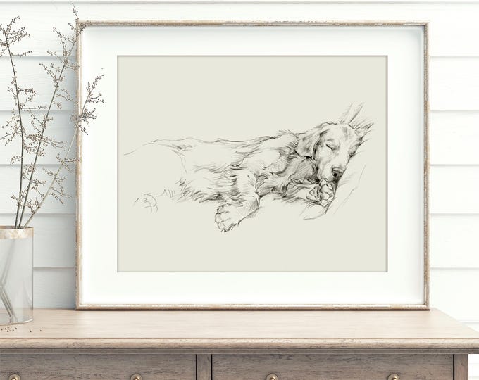 Golden Retriever Art Print: Elegant Dog Print Reproduced from an Original Pencil Sketch by Ethan Harper