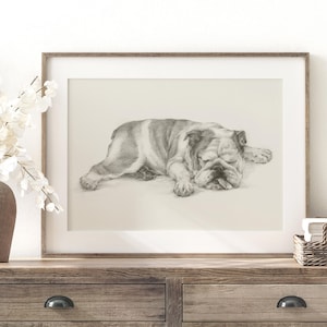 English Bulldog Fine Art Print -Bulldog Sketch by Ethan Harper, Home Decor, Nursery Decor, Gift for Dog Lovers, Wall Art Illustration