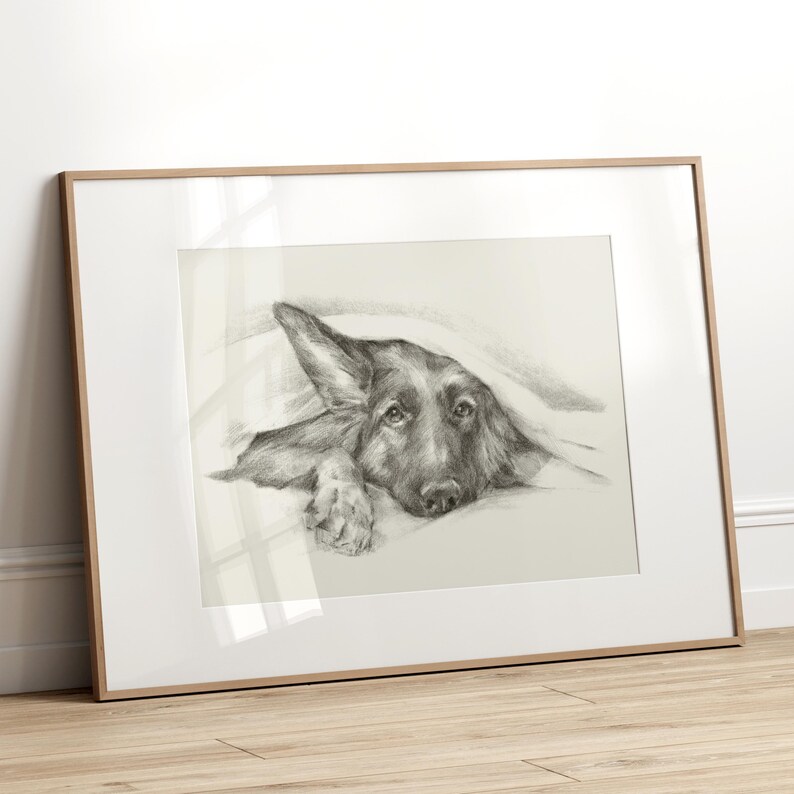 Lámina decorativa de pastor alemán asomándose - Lindo retrato de mascota - Póster dibujado a mano - Decoración de pared de perro pastor alemán de Ethan Harper - Arte para el baño de perros imagen 5