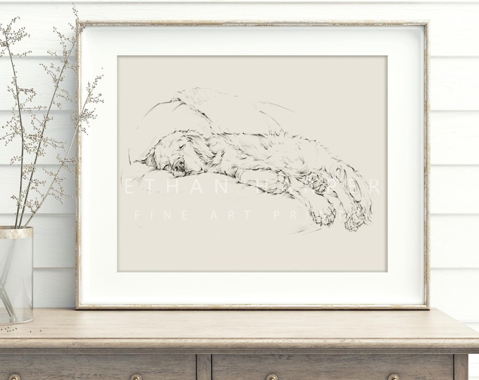 Golden Retriever Fine Art Print. Ethan Harper. Golden Retriever Drawing. Dog Artwork. Dog Wall Decor. Gifts for Dog Lovers.