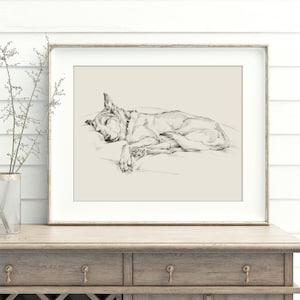 Husky Dog Art Print: Pencil Sketch of Sleeping Dog