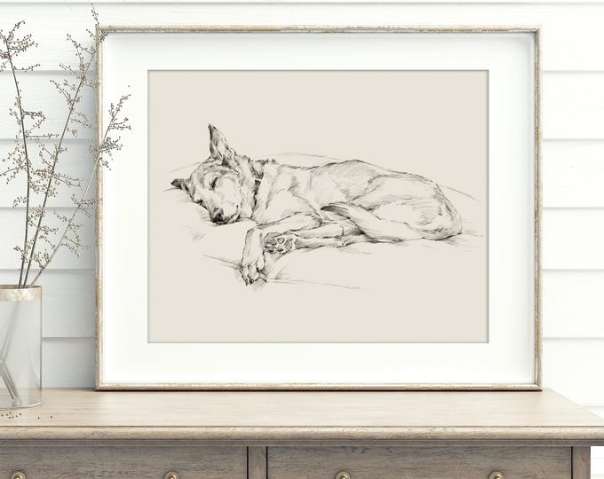 Husky Fine Art Print. Husky Drawing. Dog Artwork. Dog Wall Decor. Gifts for Dog Lovers