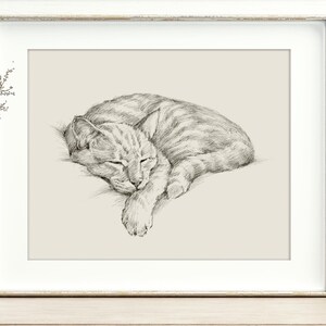 Cat Portrait Wall Art Print - Cat Drawing Poster for Pet Memorial Gift - Cat Artwork Illustration by Ethan Harper image 6