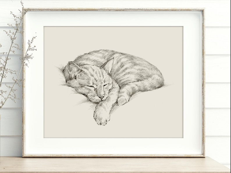 Cat Portrait Wall Art Print - Cat Drawing Poster for Pet Memorial Gift - Cat Artwork Illustration by Ethan Harper image 6