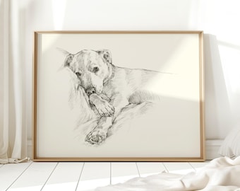 May include: A framed charcoal-style pencil sketch on a light cream background depicting a dog lying down with its head resting on its front paws. The artwork is enclosed in a simple, light-toned wooden frame, showcasing detailed line work.