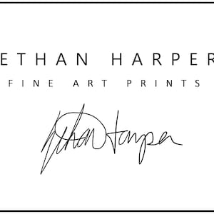 Pug Drawing Art Print: Antique Style Dog Sketch by Ethan Harper image 7