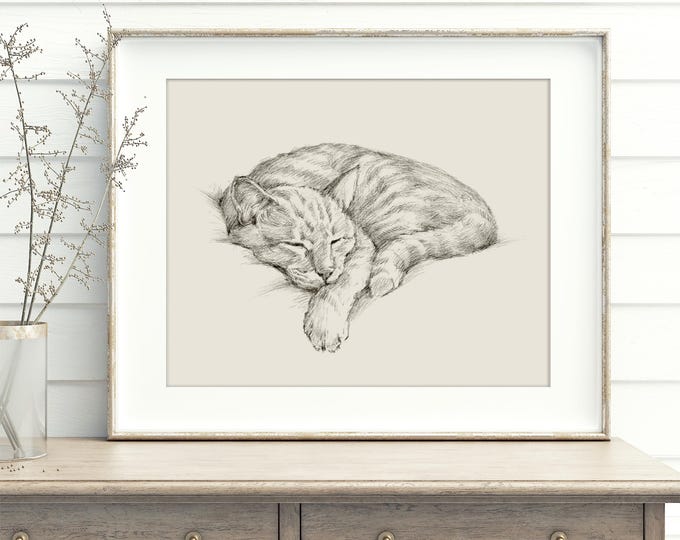 Cat Art Print by Ethan Harper, Cat Drawing Wall Decor, Minimalist Antique Style Cat Illustration, Modern Pet Lover Gift, Home Decor Poster