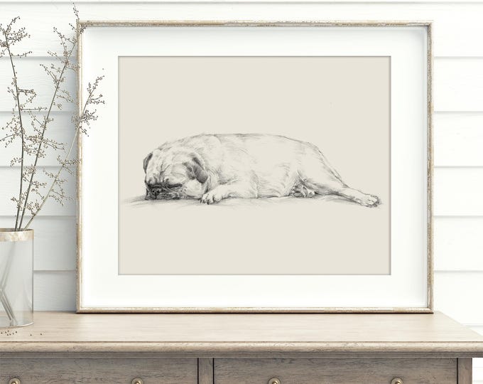 Pug Drawing Art Print by Ethan Harper - Cute Antique Style Dog Sketch Wall Decor, Perfect for Nurseries or a Gift for Dog Lovers