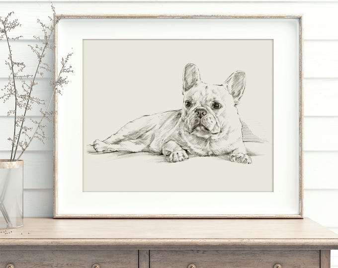 French Bulldog Sketch Art Print: Dog Lover Gift