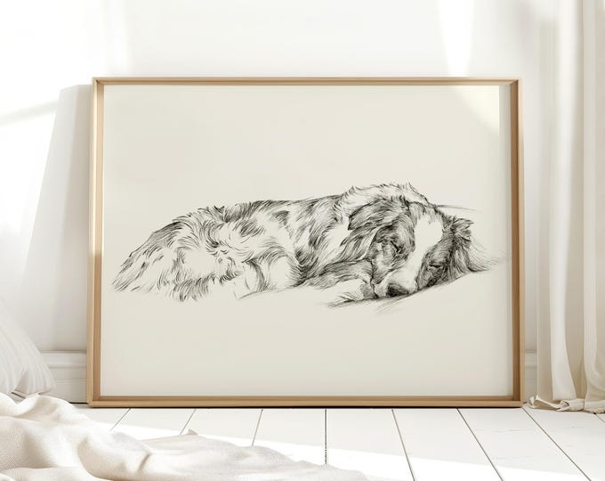 Australian Shepherd Sketch Art Print: Vintage Style Sketch Reproduced from an Original Pencil Drawing by Ethan Harper