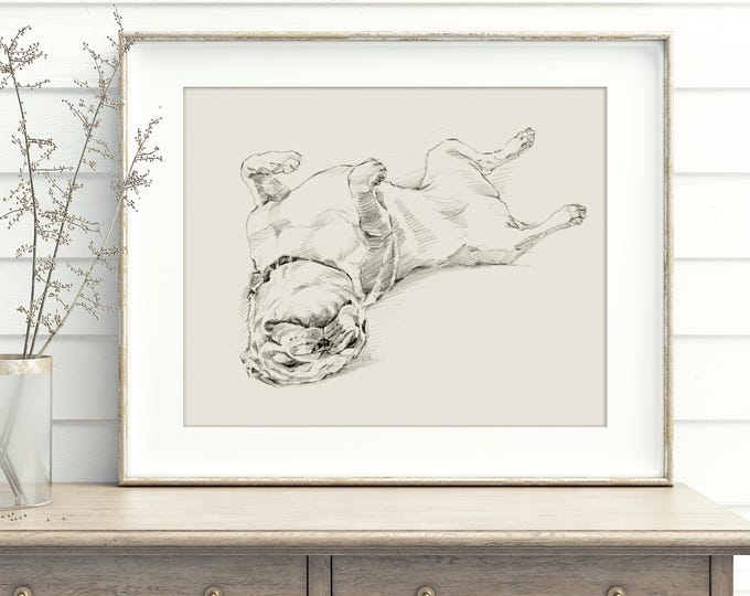 Pug Drawing Art Print Artist Ethan Harper. Cute Gifts for Dog Lovers. Dog Wall Decor.