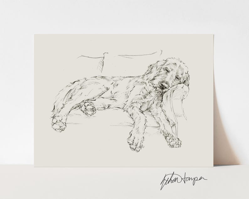 Goldendoodle Art Print - Goldendoodle Sketch Drawing by Ethan Harper -Dog Wall Art Prints For Nursery Decor-Doodle Dog Art Housewarming Gift image 6