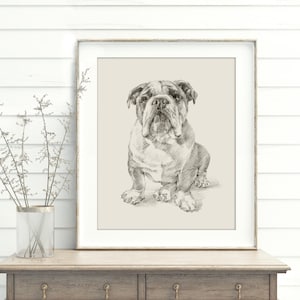 Bulldog Fine Art Print, Original Sketch by Ethan Harper, Unique Dog Wall Decor, Gift for English Bulldog Lovers, Home Office Art