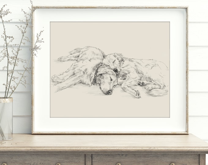 Golden Retriever Drawing Fine Art Print by Artist, Ethan Harper. Artwork for Dog Lovers.