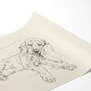 May include: Black and white line drawing of a dog sleeping on a couch. The dog is a Wirehaired Pointing Griffon.