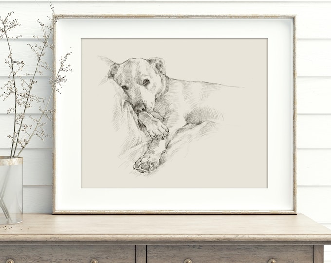 Pit Bull Drawing Art Print by Ethan Harper - Staffordshire Bull Terrier Wall Art for Dog Lovers, Nursery Decor, Unique Pet Portrait Gift