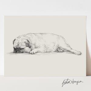 Pug Drawing Art Print: Antique Style Dog Sketch by Ethan Harper image 4
