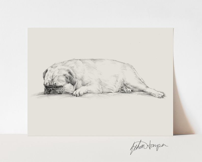 Pug Drawing Art Print: Antique Style Dog Sketch by Ethan Harper image 4