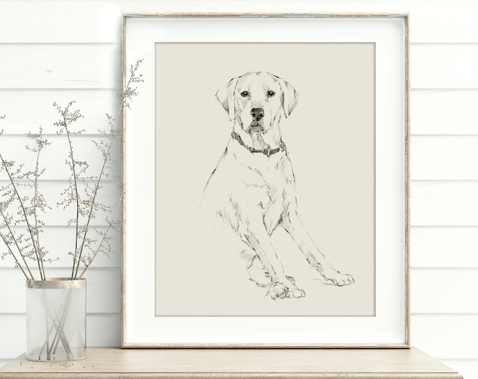 Labrador Retriever Art Print by Ethan Harper.  Yellow Lab, Black Lab, Chocolate Lab Drawing Wall Decor.