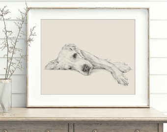 Golden Retriever Drawing Fine Art Print by Artist, Ethan Harper. Artwork for Dog Lovers.