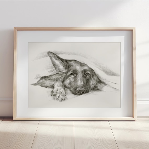 German Shepherd Peeking Wall Art Print - Cute Pet Portrait Sketched Poster - German Shepherd Dog Wall Decor by Ethan Harper-Dog Bathroom Art
