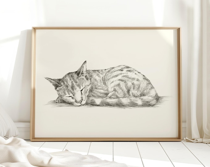 Cat Art Print by Artist, Ethan Harper. Cat Drawing Wall Decor.