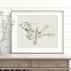 Impresión artística de boceto de labrador negro: perro durmiendo, decoración de pared giclée