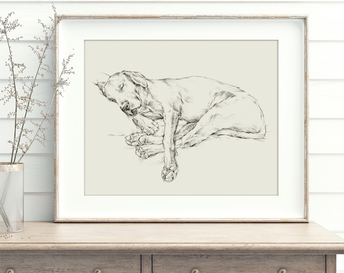 Black Lab Sketch Art Print: Sleeping Dog Giclée Wall Decor