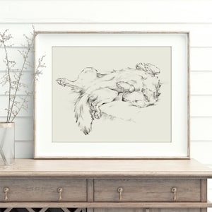 Láminas decorativas de Golden Retriever de Ethan Harper - Boceto de Golden Retriever color crema inglés para la decoración otoñal del hogar - Dibujo de perro durmiendo para la habitación del bebé