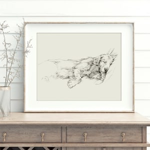 Golden Retriever Sketch Art Print: Elegant Dog Portrait by Ethan Harper