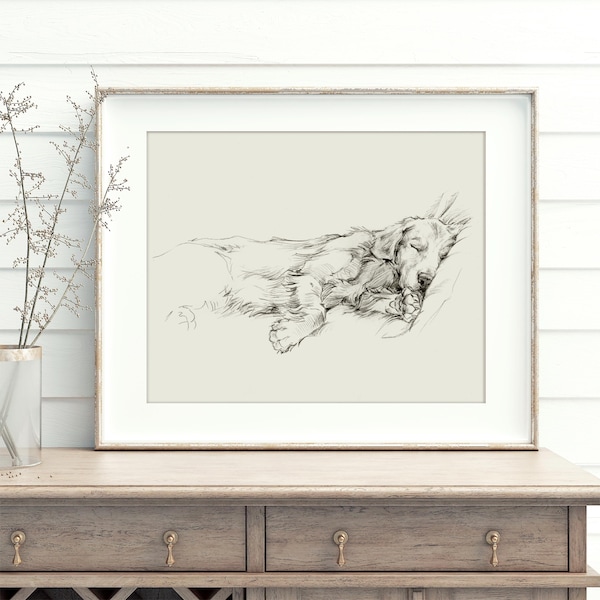 Golden Retriever Skizze Kunstdruck: Elegantes Hundeportrait von Ethan Harper